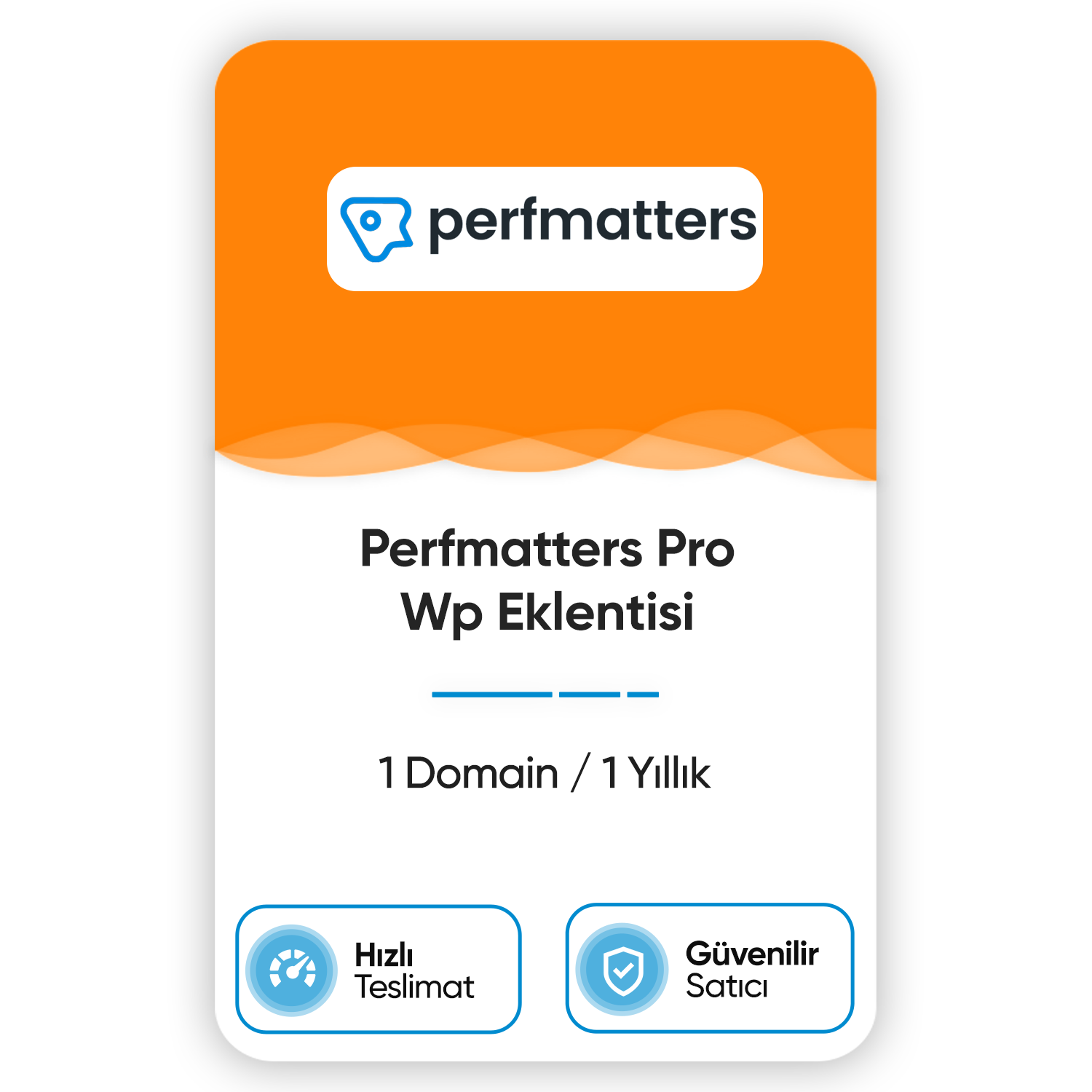 PerfMatters Pro | Orijinal WordPress Eklentisi