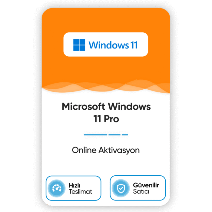 Windows 11 Pro | Orijinal Lisans